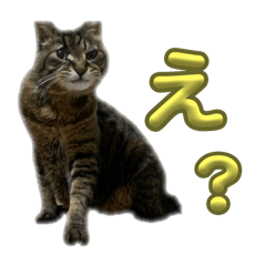 [LINEスタンプ] Dioくんあるよ