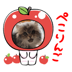 [LINEスタンプ] MALUのまったりライフ6
