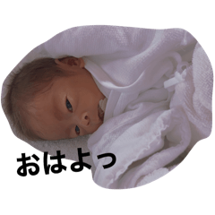 [LINEスタンプ] こはくスタンプ♪