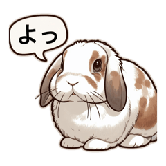 [LINEスタンプ] かわいいけど毒舌なウサギのスタンプ