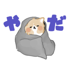 [LINEスタンプ] コーギーのかんたくん