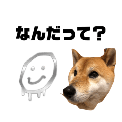 [LINEスタンプ] うちのポンタくんNO2