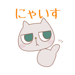 [LINEスタンプ] ネコさん毎日スタンプ