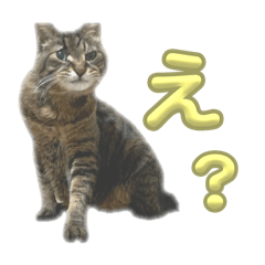 [LINEスタンプ] 直しるーの画像（メイン）