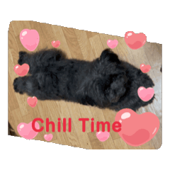 [LINEスタンプ] 黒犬動くスタンプ