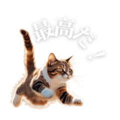 [LINEスタンプ] 【彼氏・旦那に使える】癒しのツンデレ猫