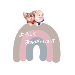 [LINEスタンプ] ♡とも様2