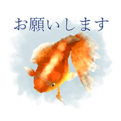 [LINEスタンプ] 金魚の みわ子さん