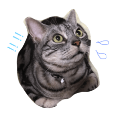 [LINEスタンプ] まんまるまるまーる