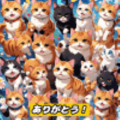 [LINEスタンプ] ねこのかわいいエモーション