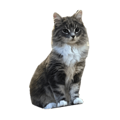 [LINEスタンプ] 煮る韮