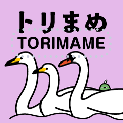 [LINEスタンプ] 野鳥のメッセージスタンプ - トリまめ13