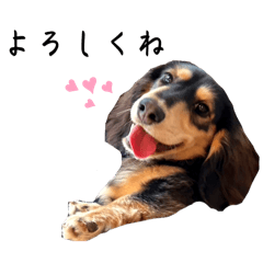 [LINEスタンプ] ダックスフンドのぽっくん