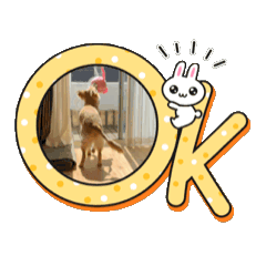 [LINEスタンプ] move ocho