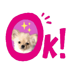 [LINEスタンプ] My Dog ミレちゃん 日常で使う会話編