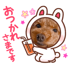[LINEスタンプ] Sakura♡第2弾
