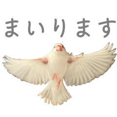 [LINEスタンプ] ゆるふわふみさんスタンプ2