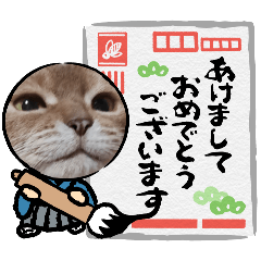 [LINEスタンプ] 一年中つかえるきなこのスタンプ