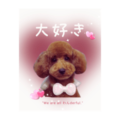 [LINEスタンプ] "We are all わんderful."