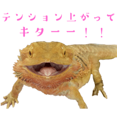 [LINEスタンプ] 係長の1日スタンプ