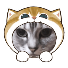 [LINEスタンプ] 小泉家のアイドル