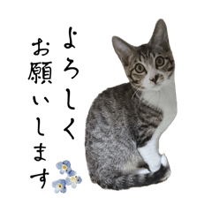 [LINEスタンプ] まろもん1