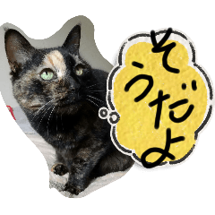 [LINEスタンプ] にやんこのつぶやき②