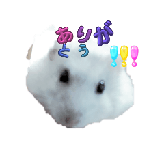 [LINEスタンプ] もっちゃん スタンプ！の画像（メイン）