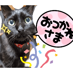 [LINEスタンプ] 黒猫ムックのスタンプ