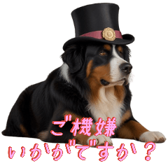 [LINEスタンプ] 帽子をかぶった犬のあいさつ
