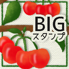 [LINEスタンプ] 【BIG】大人スタンプ