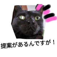 [LINEスタンプ] 日常サバイバル