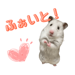 [LINEスタンプ] ゴールデンハムスター『ごじゃも』の日常