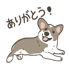 [LINEスタンプ] ベイビーコーギー ちゃろ