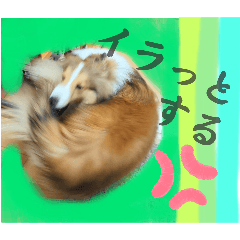 [LINEスタンプ] びすこってぃ〜P