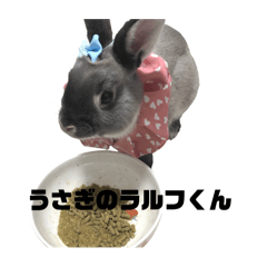 [LINEスタンプ] うさぎのラルフくん