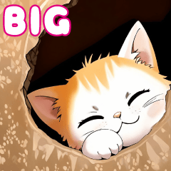 [LINEスタンプ] ひょっこり顔出す 可愛いネコたちのBIGの画像（メイン）