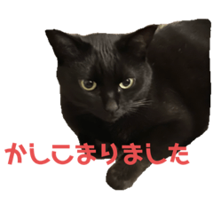 [LINEスタンプ] ぐーさまだけじゃない2