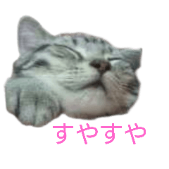 [LINEスタンプ] みかんオリジナル