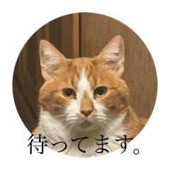 [LINEスタンプ] ホタルのスタンプ3rd