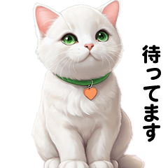 [LINEスタンプ] 猫の表情・挨拶