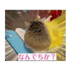 [LINEスタンプ] ふわ＆テテ