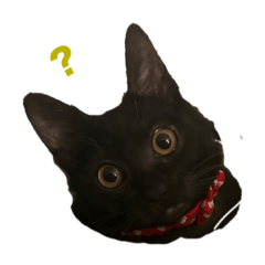 [LINEスタンプ] ピノ吉とお姉様