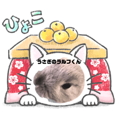 [LINEスタンプ] ネザーランドドワーフのラルフローレンくん