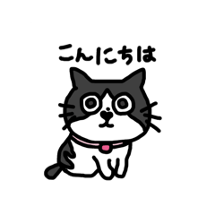 [LINEスタンプ] はちわれのまろんちゃん