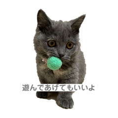 [LINEスタンプ] ふくめまる