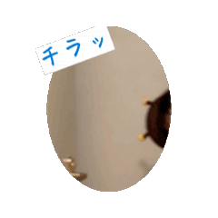 [LINEスタンプ] カークカク動く里帆の画像（メイン）