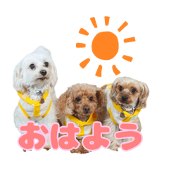 [LINEスタンプ] めいぽんまる3