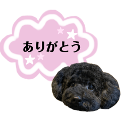 [LINEスタンプ] クロ ピンク