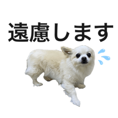 [LINEスタンプ] バニおじさんだよ